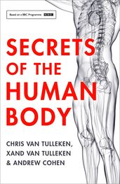 Andrew Cohen: Secrets of the Human Body