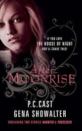 Gena Showalter: After Moonrise: Possessed / Haunted