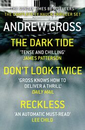 Andrew Gross: Andrew Gross 3-Book Thriller Collection 1: The Dark Tide, Don’t Look Twice, Relentless