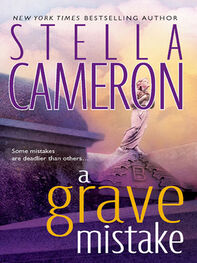 Stella Cameron: A Grave Mistake