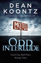 Dean Koontz: Odd Interlude