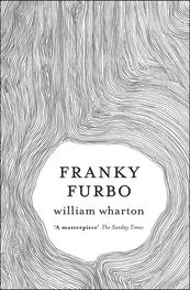 William Wharton: Franky Furbo