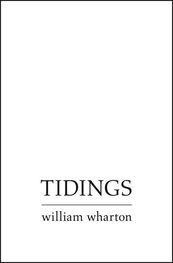 William Wharton: Tidings