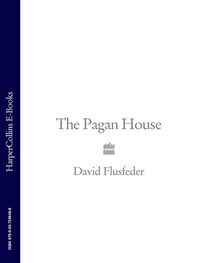 David Flusfeder: The Pagan House