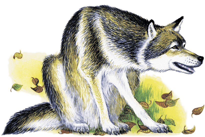 Села Марьюшка на серого волка и только её и видели Впереди степи широкие - фото 15