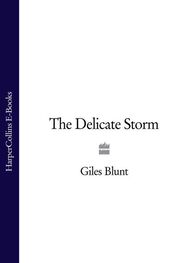 Giles Blunt: The Delicate Storm