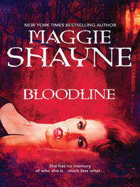 Maggie Shayne: Bloodline
