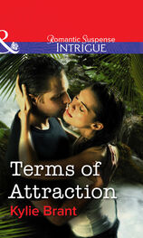 Kylie Brant: Terms Of Attraction