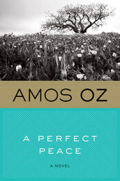 Amos Oz: A Perfect Peace
