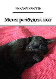 Михаил Хрипин: Меня разбудил кот
