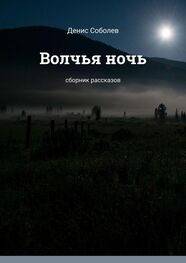 Денис Соболев: Волчья ночь. Сборник рассказов