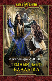 Александра Лисина: Темный эльф. Владыка