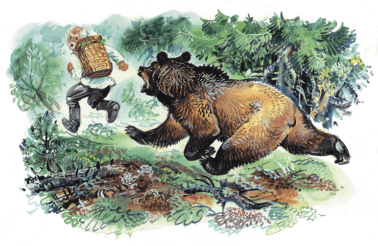 Пошёл дедушка Андрей Михеевич в лес и у лесной речки встретил медвежонка А - фото 4