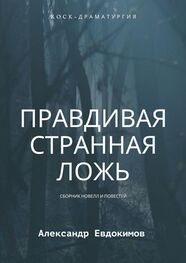 Александр Евдокимов: Правдивая странная ложь