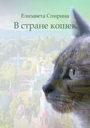 Елизавета Спирина: В стране кошек