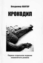 Владимир Кантор: Крокодил