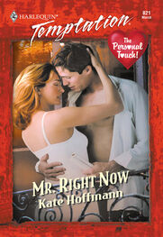 Kate Hoffmann: Mr. Right Now