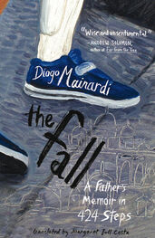 Diogo Mainardi: The Fall: A Father's Memoir in 424 Steps