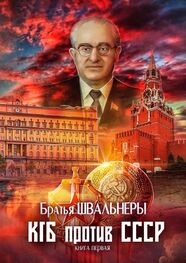 Братья Швальнеры: КГБ против СССР. Книга первая