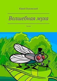 Юрий Буковский: Волшебная муха. Сказка