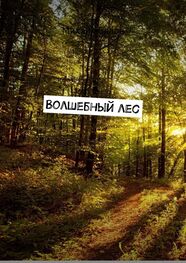 Михаил Белов: Волшебный лес