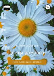Ангелина Орлова: Цветы ромашки