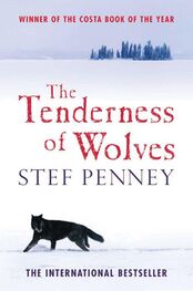 Stef Penney: The Tenderness of Wolves