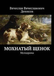 Вячеслав Денисов: Мохнатый щенок. Мелодрама