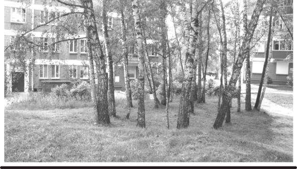 Зимой 1963 года моя мама получила комнату в доме N1 по улице Золотодолинской - фото 2