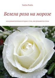 Vadim Pudin: Белела роза на морозе. Или романтическая история о том, как рождаются стихи