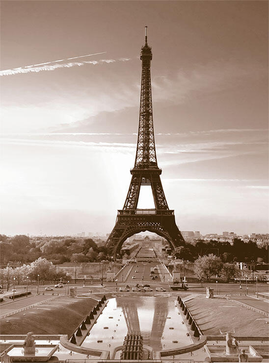 Париж город всех влюбленных стал местом первой встречи Ванессы и Джонни - фото 7