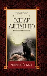 Эдгар По: Черный кот (сборник)