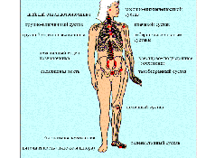Распространение болезни на суставы за пределами позвоночника Иногда в начале - фото 9