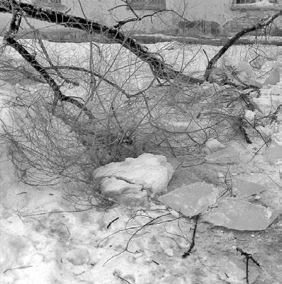 Снимки глыбы льда сделанные Алексеем Хитровым Жена Алексея и его дочь ждали - фото 3
