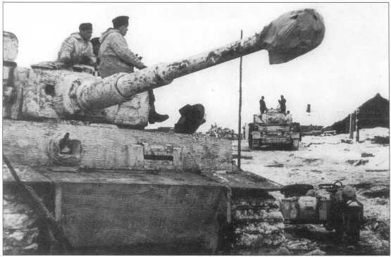 Тигры 501го батальона на советскогерманском фронте Март 1944 года - фото 34