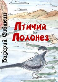 Валерий Сибикин: Птичий полонез