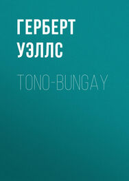 Герберт Уэллс: Tono-Bungay