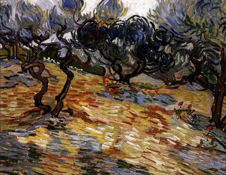 Винсент Ван Гог 18531890 Оливковые деревья 1889 Холст масло 51x652 - фото 68
