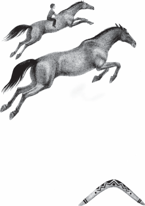 Бумеранги это лошади Они живут на одном мысе едят желтую траву а на закате - фото 4