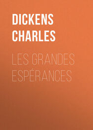 Charles Dickens: Les grandes espérances