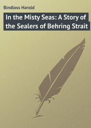 Harold Bindloss: In the Misty Seas: A Story of the Sealers of Behring Strait