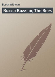 Wilhelm Busch: Buzz a Buzz: or, The Bees