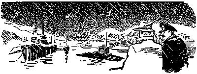 Военноморская база в Майдзуре Бухта Майдзура Снег и чайки С неба наискось - фото 15