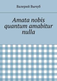 Валерий Вычуб: Amata nobis quantum amabitur nulla