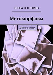 Елена Потехина: Метаморфозы