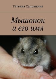 Татьяна Сапрыкина: Мышонок и его имя