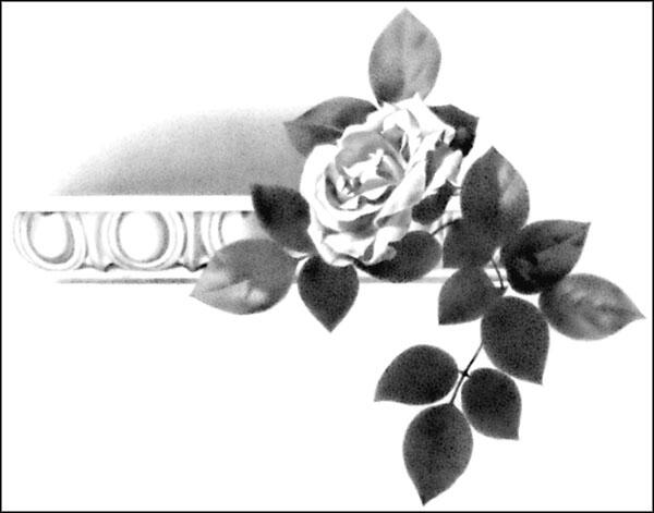 Роза на карнизе Погибло от любви людей немало Погибло от любви людей - фото 1