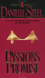 Danielle Steel: Passion's Promise