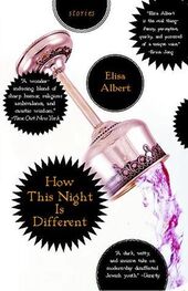 Elisa Albert: How This Night Is Different: Stories