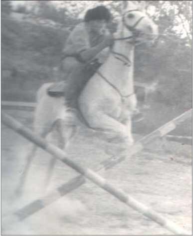 На коне Абажур На конюшне таких лошадей было две конь по кличке Перец и - фото 9